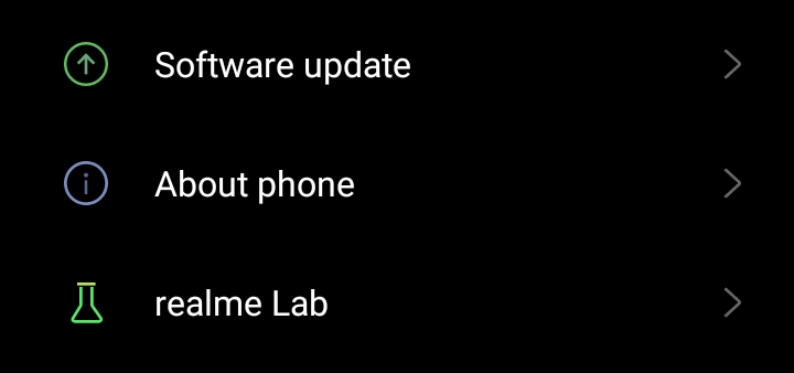 Software update | About phone | realme Lab
