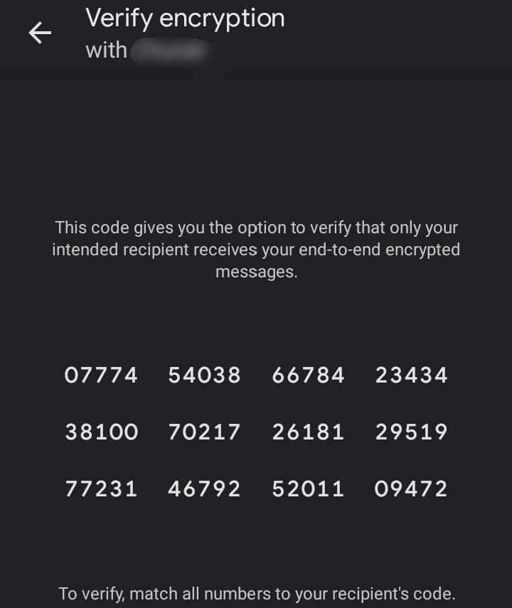 Codes to verify end-to-end encryption which you and the recipient will receive.